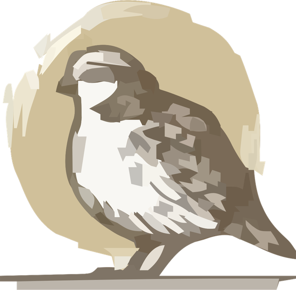 Little Wren Web Co. wren logo